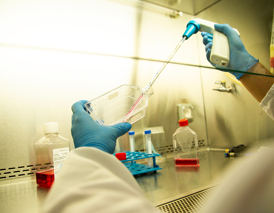 Bioteknologi & Farmaceutisk
